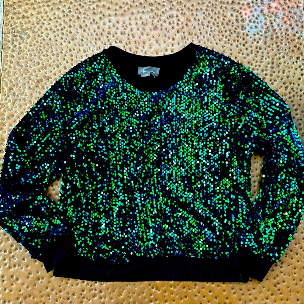 Anthropologie Sequin VelvetRound Neck Sweatshirt sz L